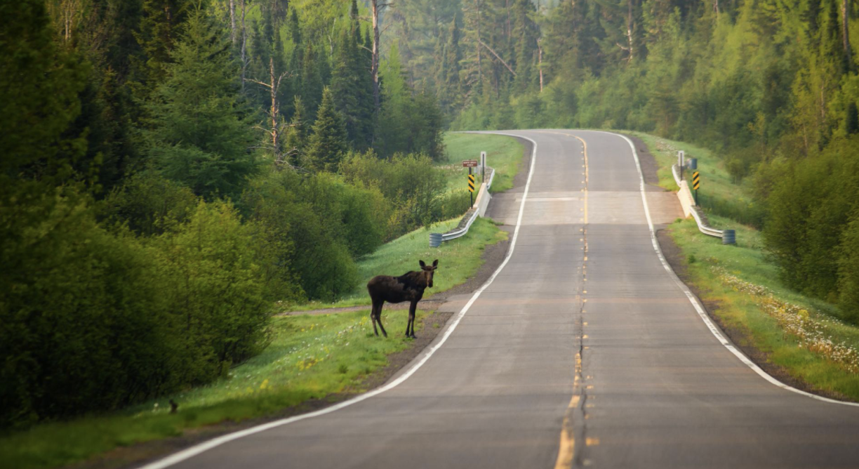 Summer Drives Near and Around Medina 